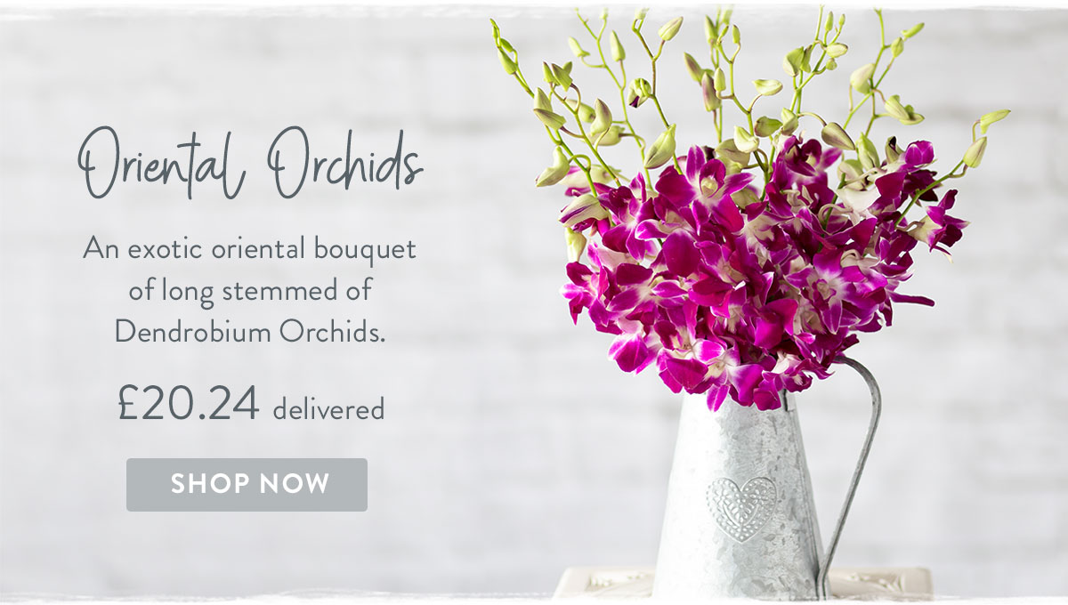 Oriental Orchids - only &pound;20.24