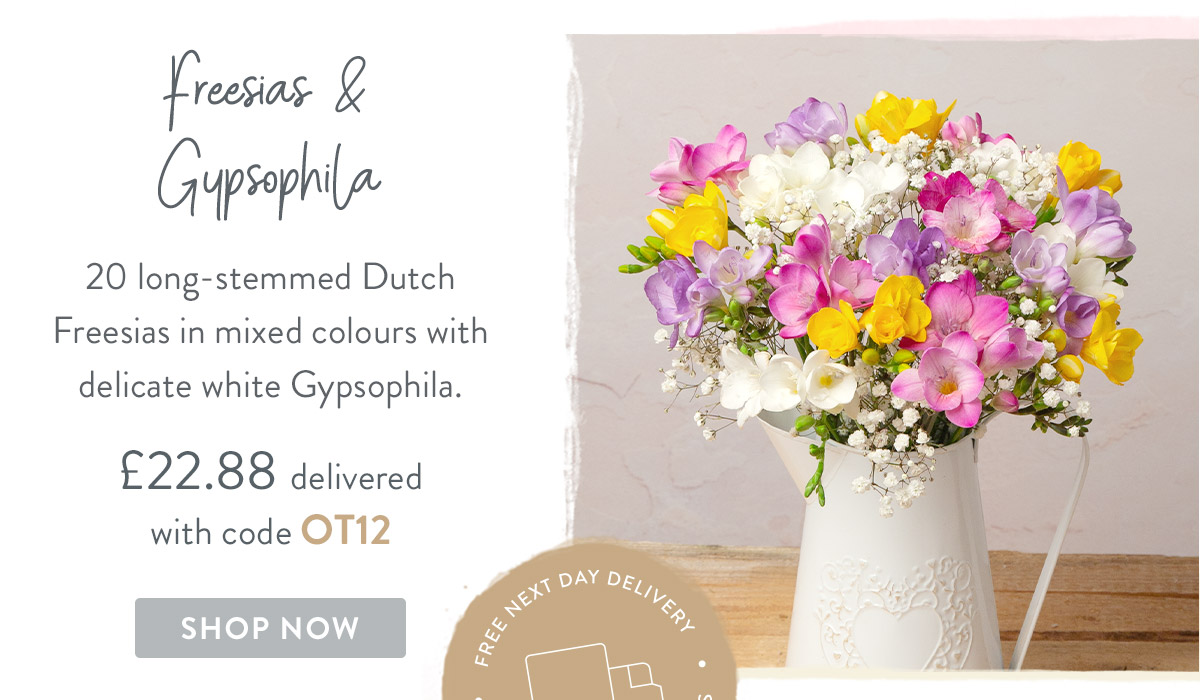 Freesias & Gypsophila - only &pound;22.88 delivered