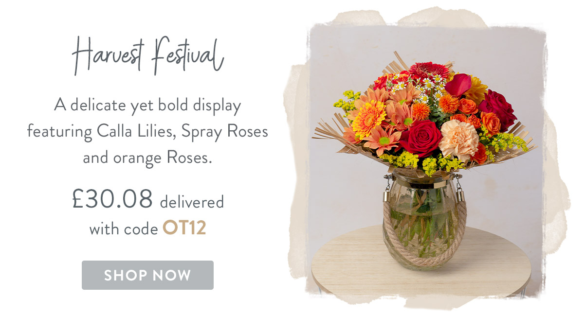 Harvest Festival - only &pound;30.08 delivered