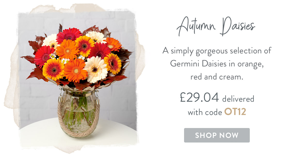 Autumn Daisies - only &pound;29.04 delivered