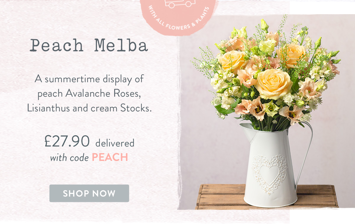 Peach Melba  - only &pound;27.90 