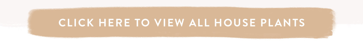 Click here to view all house plants