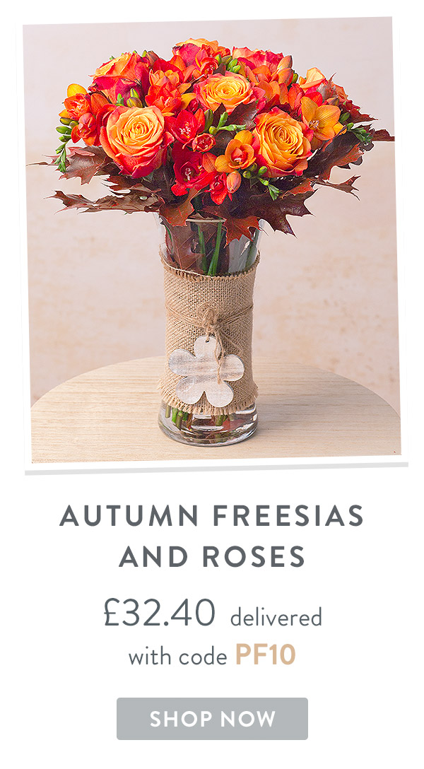 Rose Dream- only &pound;32.40