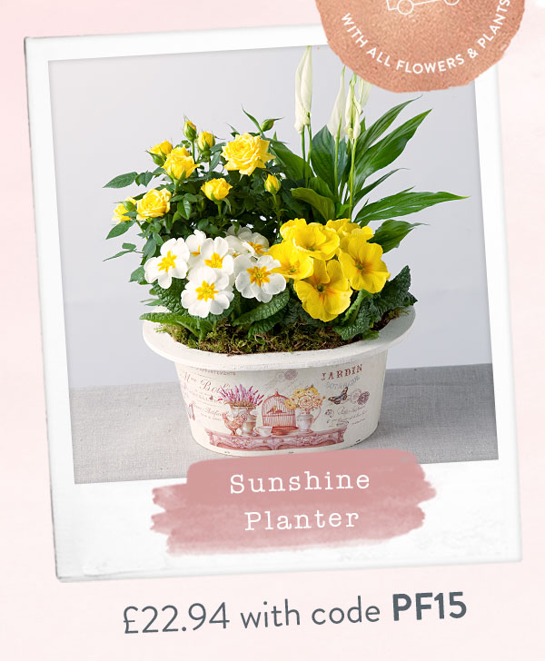 Sunshine Planter - Only &pound;22.94