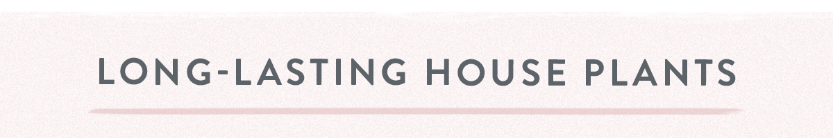 Long Lasting House Plants
