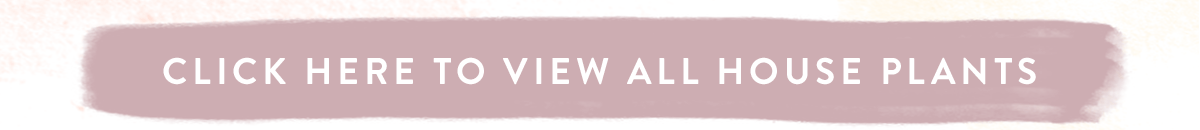 Click here to view all House Plants