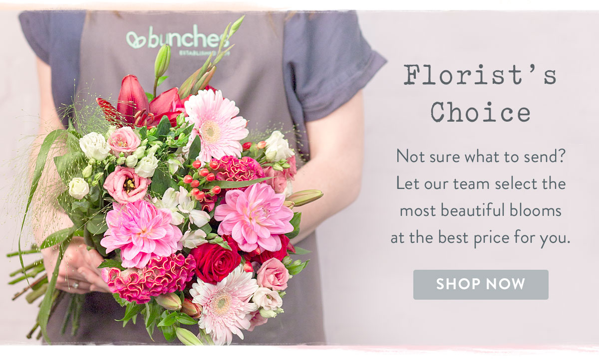 View our Florist's Choice Range