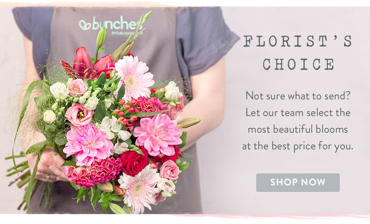 View our Florist's Choice Range