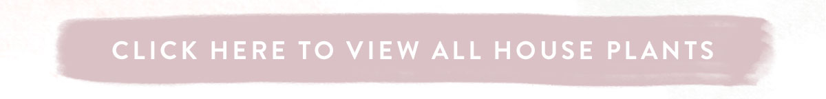 Click here to view all House Plants
