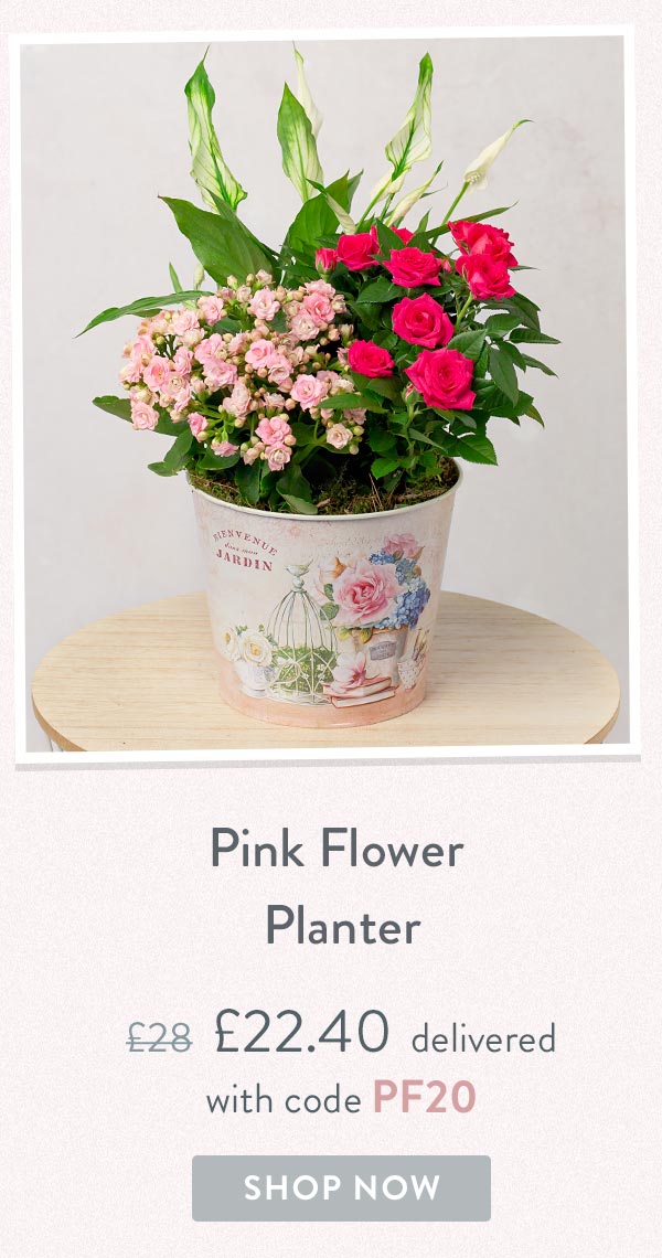 Pink Flower Planter - Only &pound;22.40 delivered with code