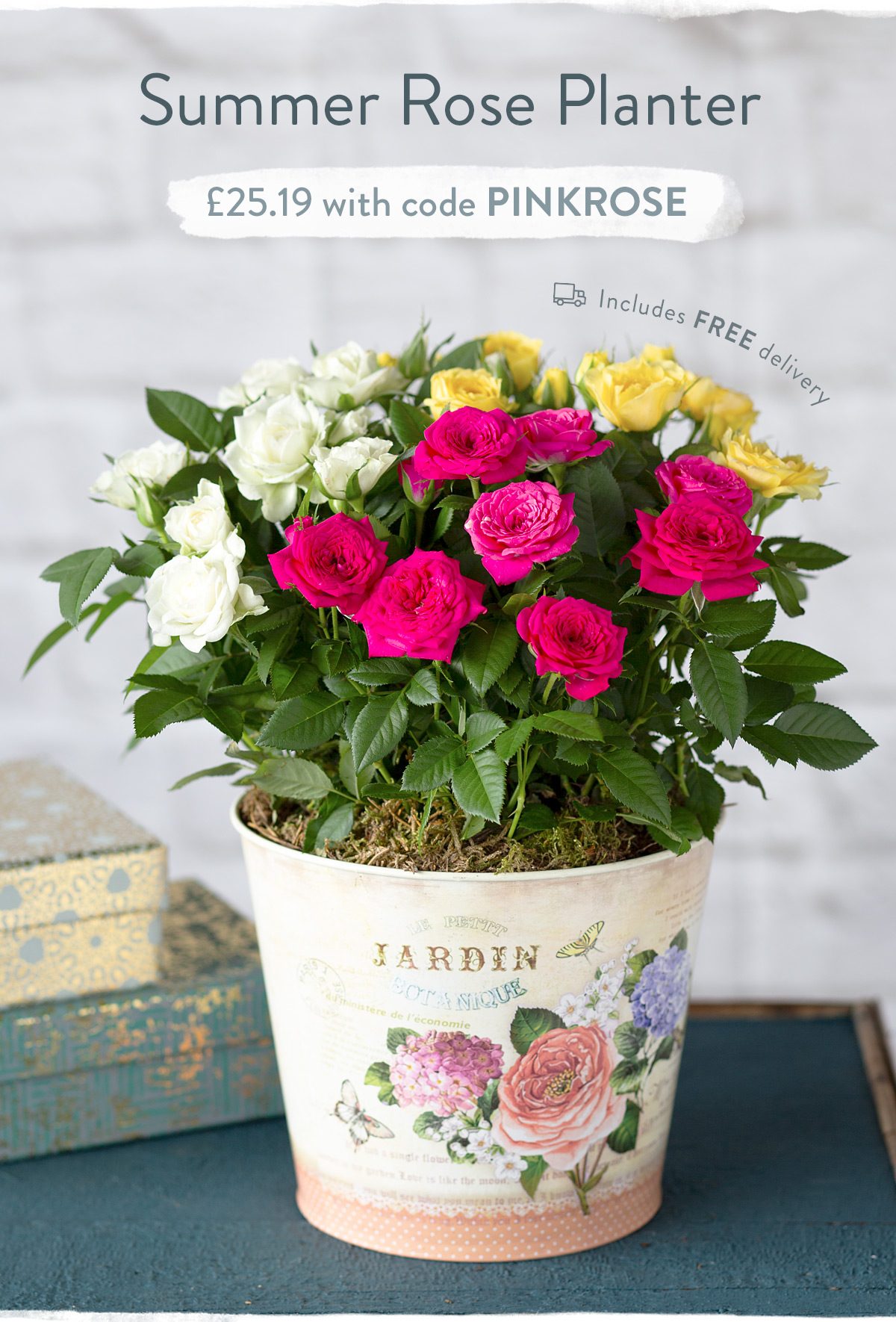 PSummer Rose Planter - Only &pound;25.19