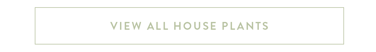 View all our house plants