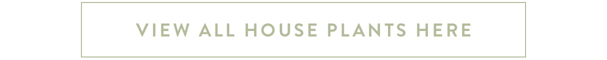 View all house plants flowers here