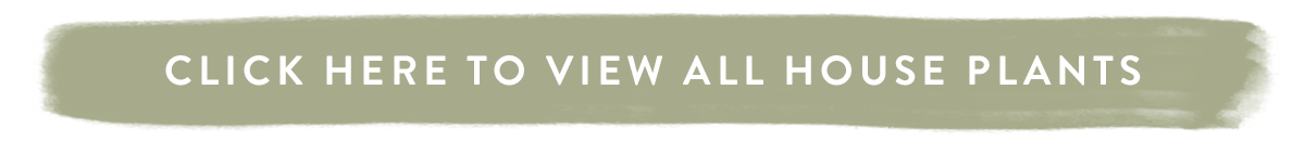 Click here to view all house plants