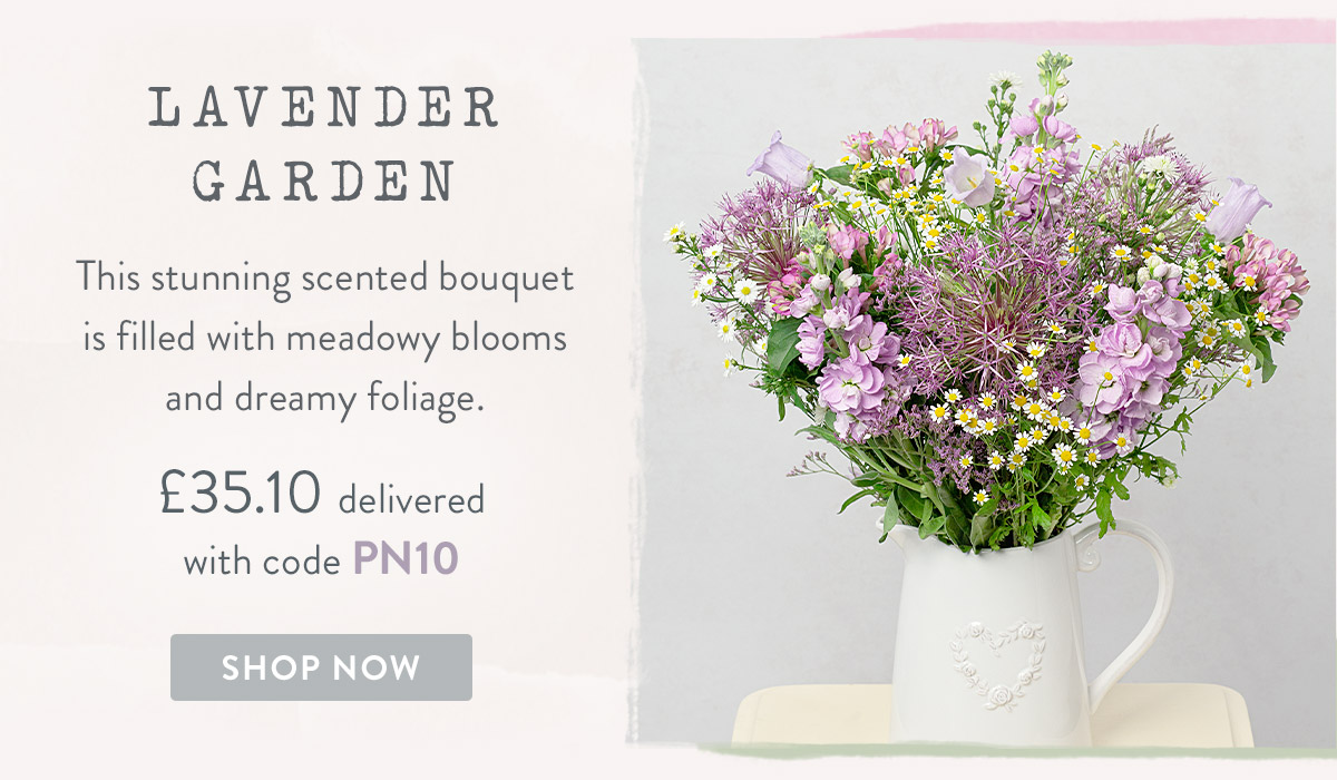 Lavender Garden - only &pound;35.10 delivered