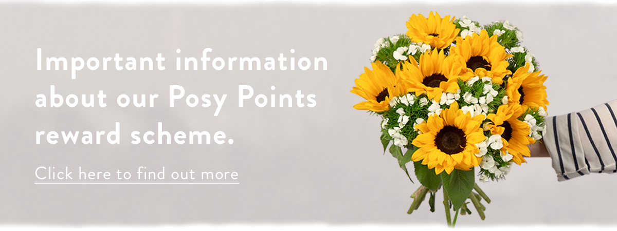 Important information about our Posy Points reward scheme