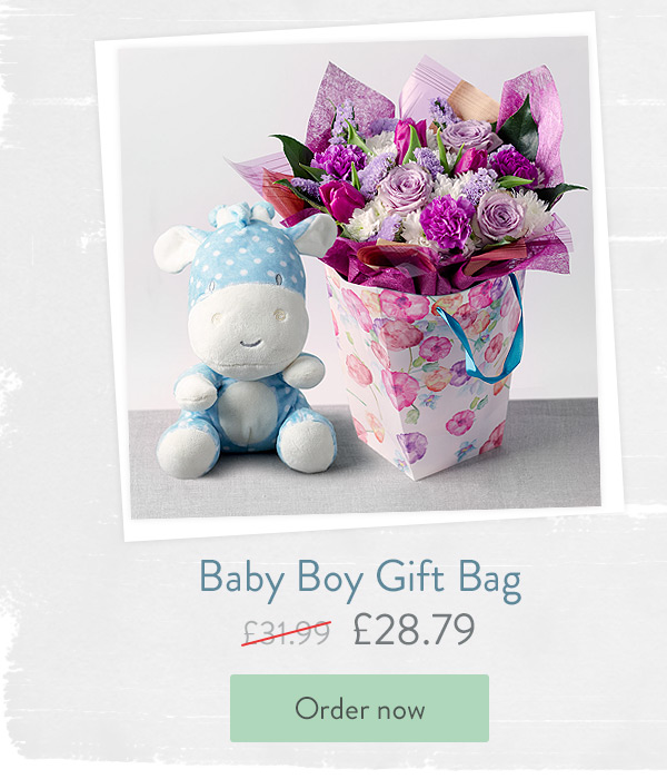 Baby Boy Gift Bag - Only &pound;28.79