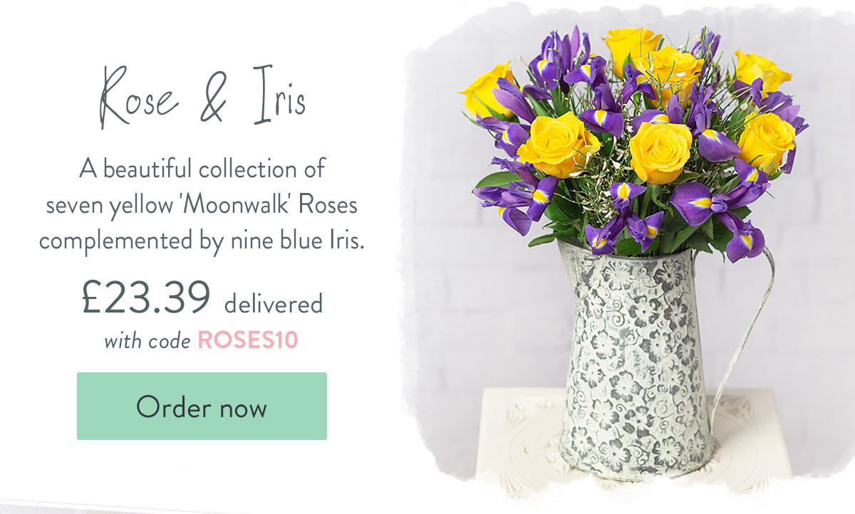 Roses & Iris - only &pound;23.39