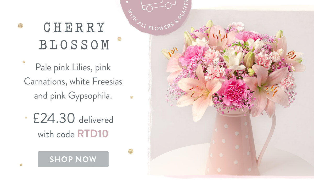 Cherry Blossom - only &pound;24.30 delivered