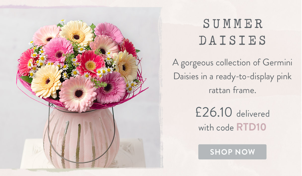 Summer Daisies - only &pound;26.10 delivered