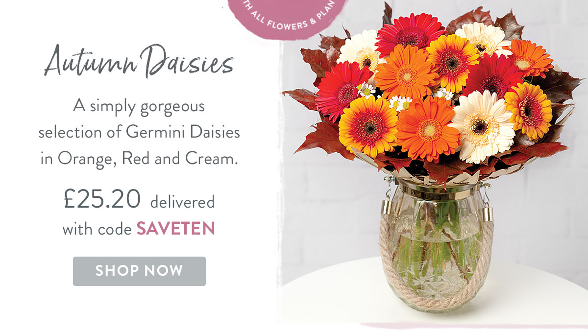 Autumn Daisies - only &pound;25.20