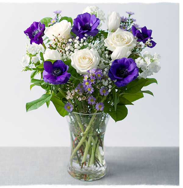 Serenity - Only &pound;27.89