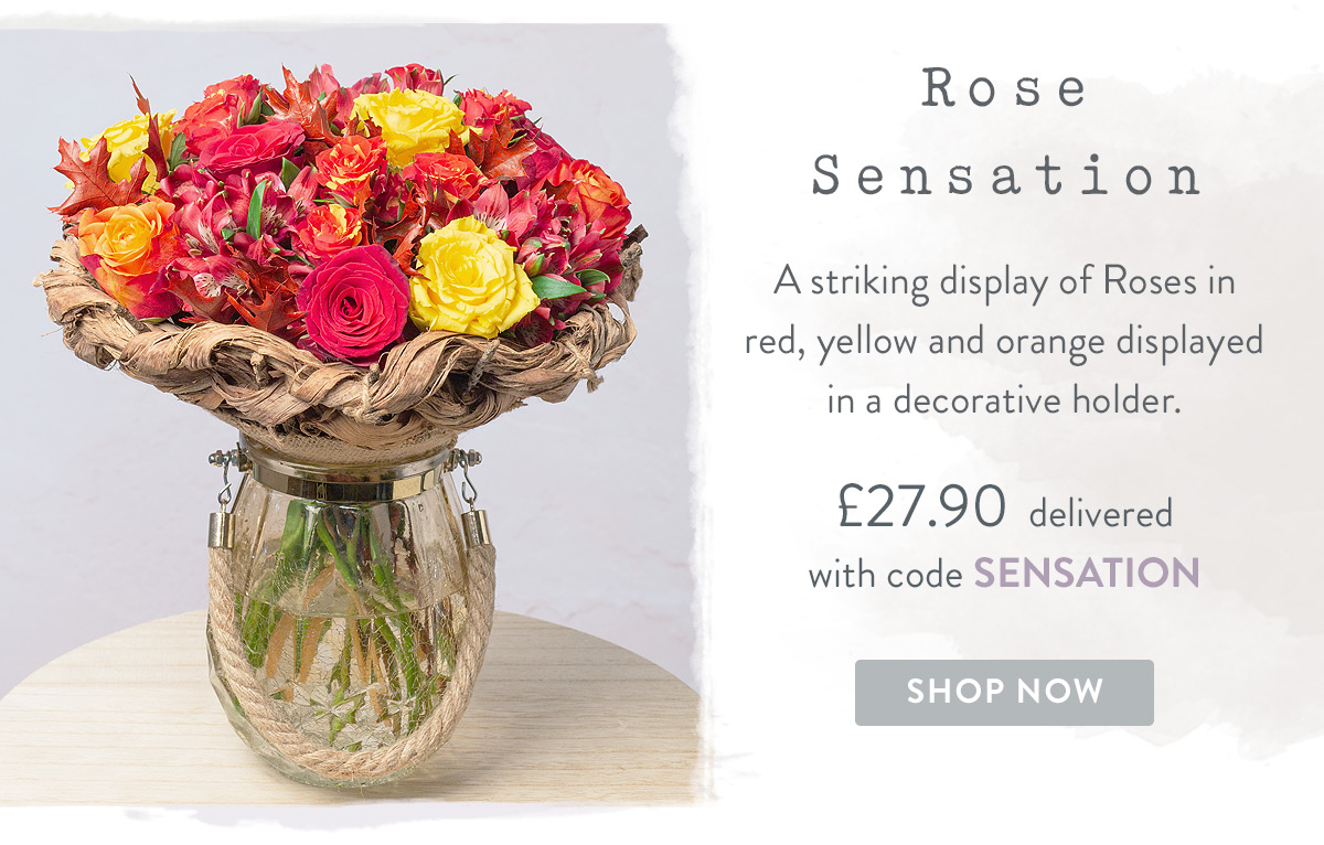 Rose Sensation - only &pound;27.90