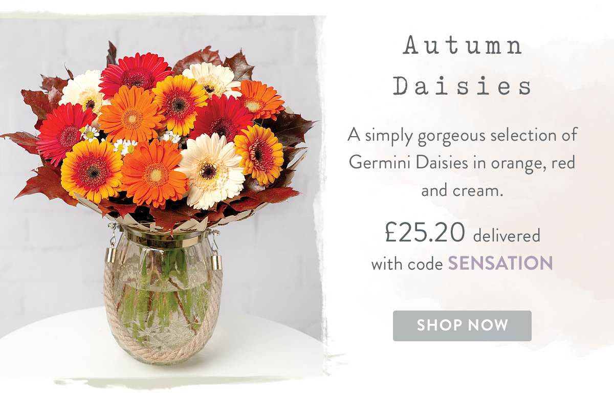 Autumn Daisies - only &pound;25.20