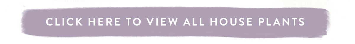 Click here to view all house plants