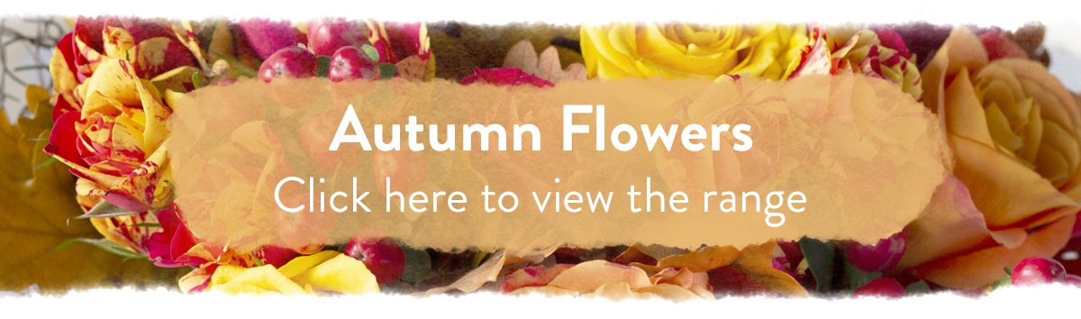 Click here to view our range of Autumn Flowers