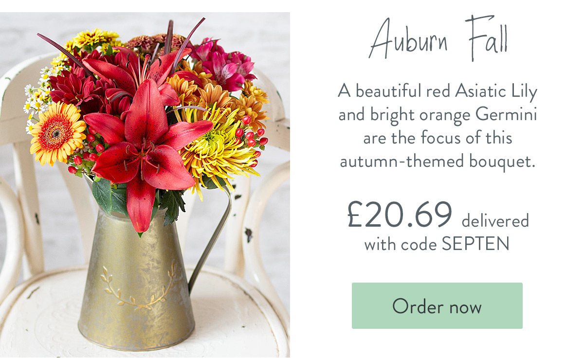 Auburn Fall - Only &pound;20.69