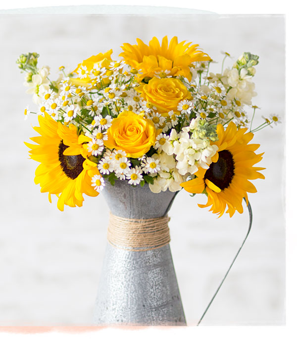 Summer Glow - Only &pound;22.50 delivered