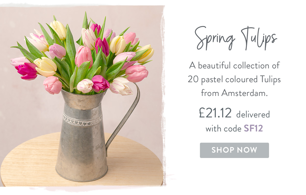 Spring Tulips - only &pound;21.12