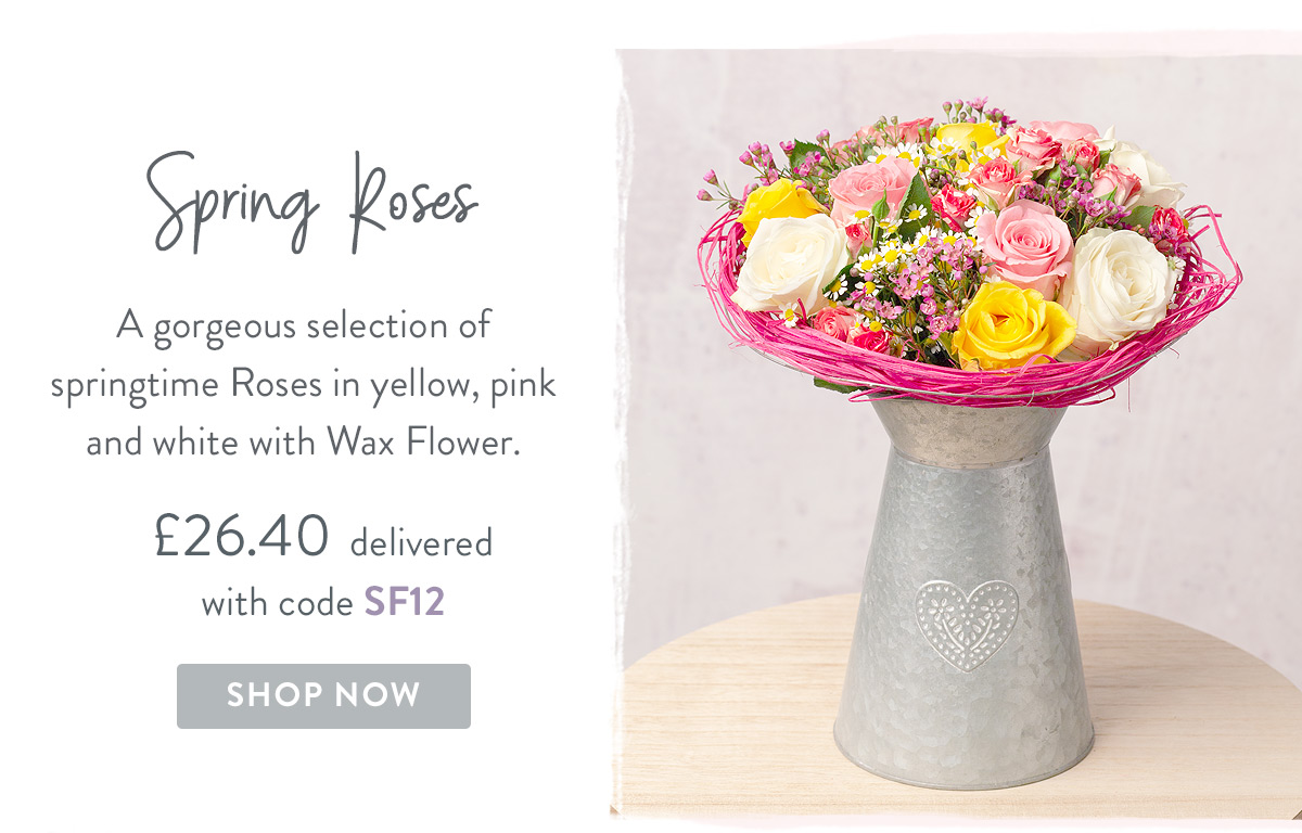 Spring Roses - only &pound;26.40