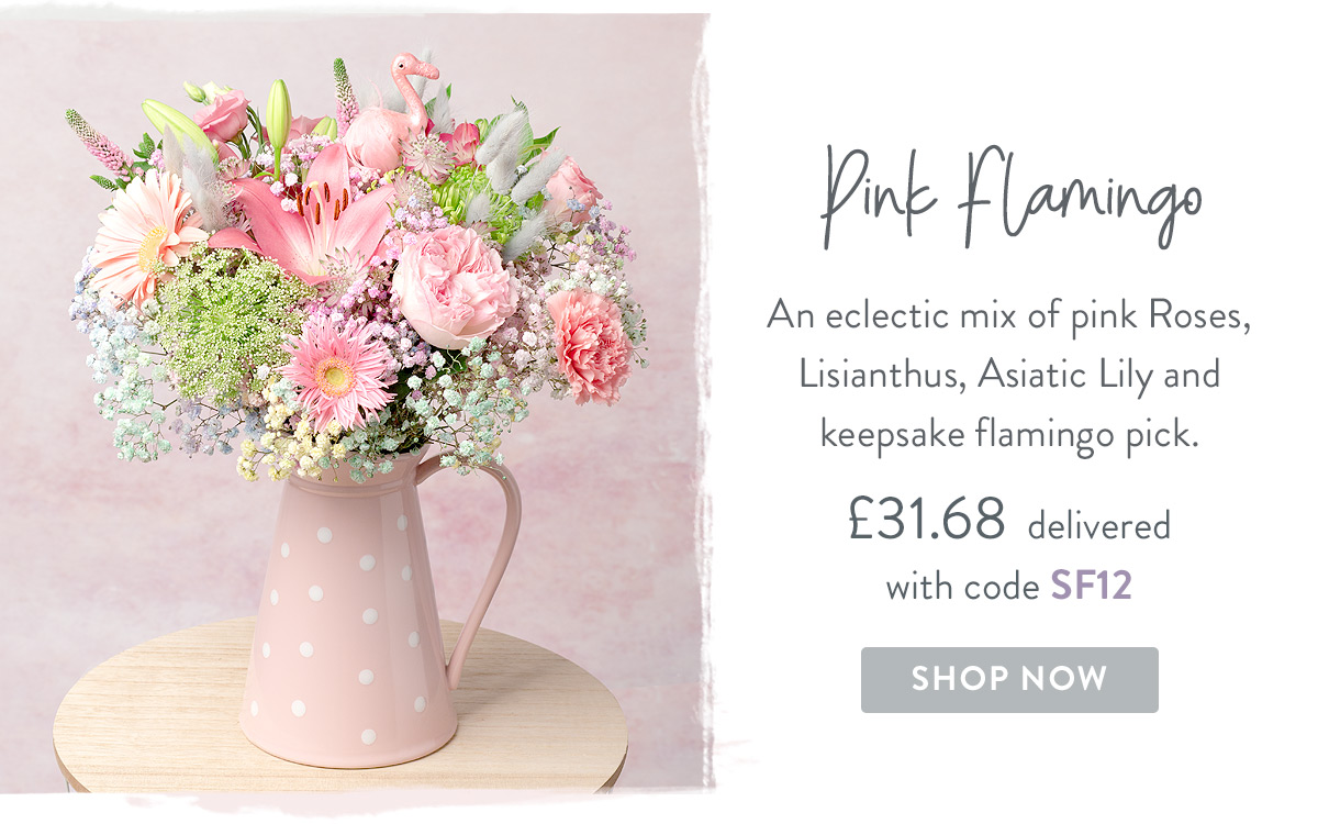 Pink Flamingo - only &pound;31.68