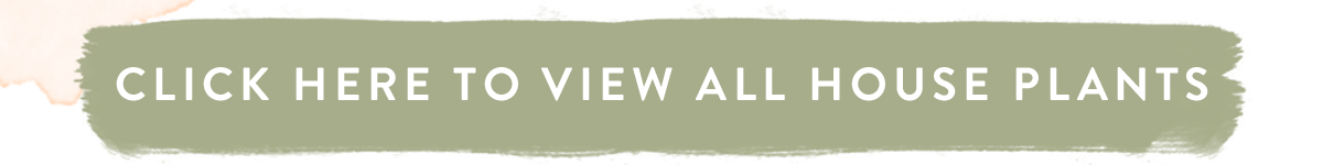 Click here to view all house plants
