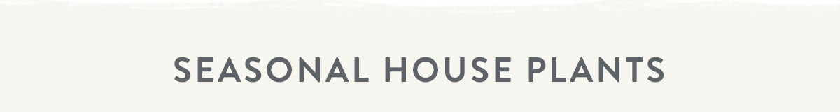 Seasonal House Plants