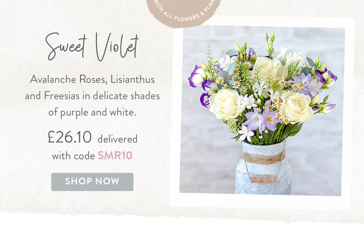 Sweet Violet - only &pound;26.10 with promo code