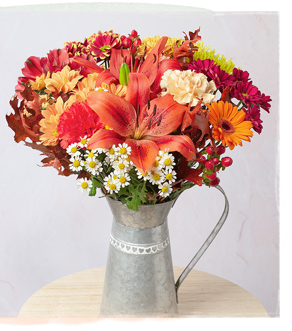 Auburn Fall - Only &pound;25.20 delivered