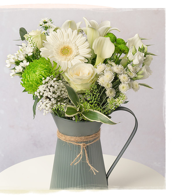 Casablanca - Only &pound;28.80 delivered