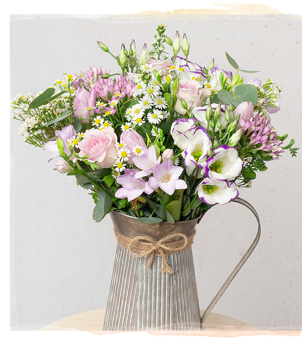 Country Meadow - Only &pound;35.10 delivered