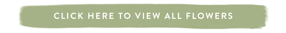 View all flowers delivered here