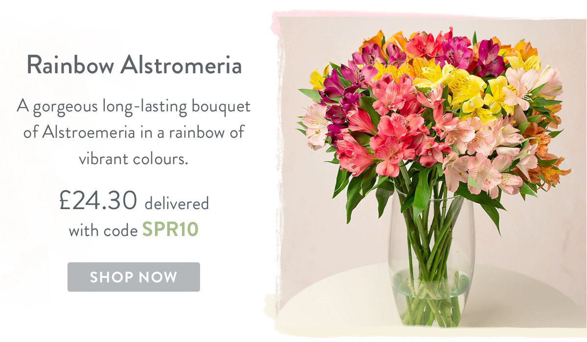 Rainbow Alstromeria - only &pound;24.30 delivered