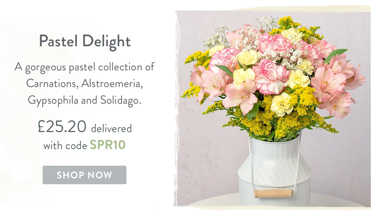 Pastel Delight - only &pound;25.20 delivered