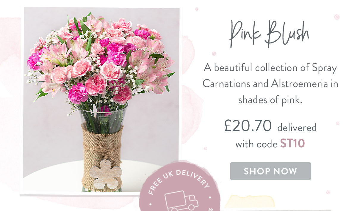 Pink Blush - only &pound;20.70