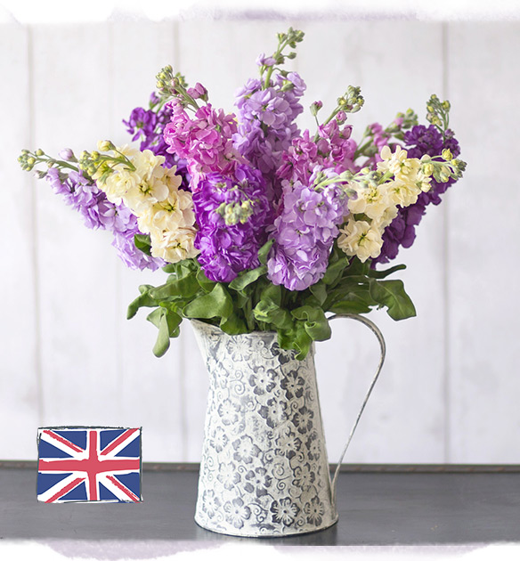 British Stocks - Only &pound;26.09