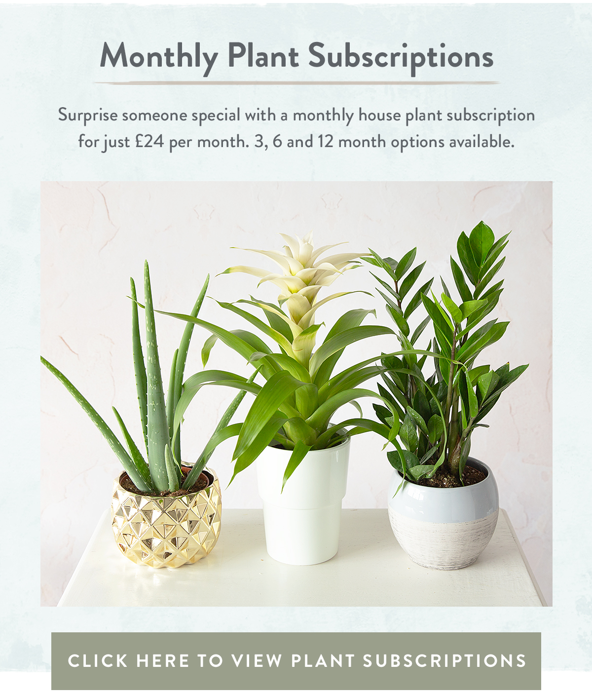Plant Subscriptions