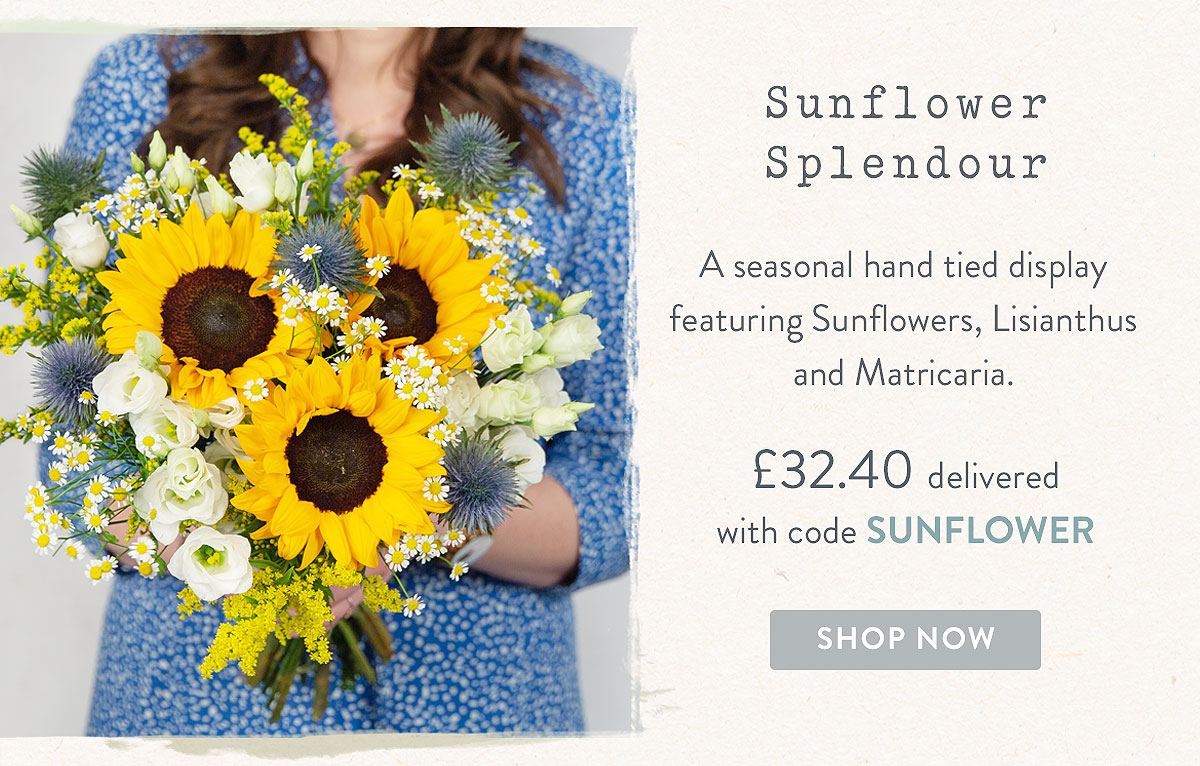 Sunflower Splendour - only &pound;32.40