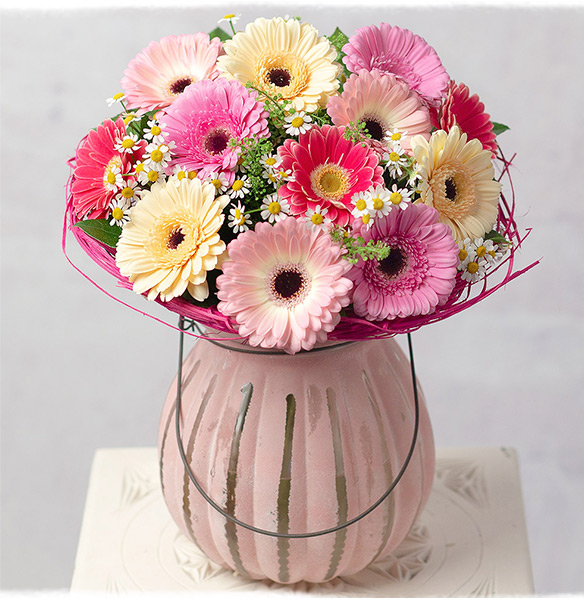 Daisy Dream - Only &pound;24.29