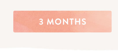Download 3 month gift certificate